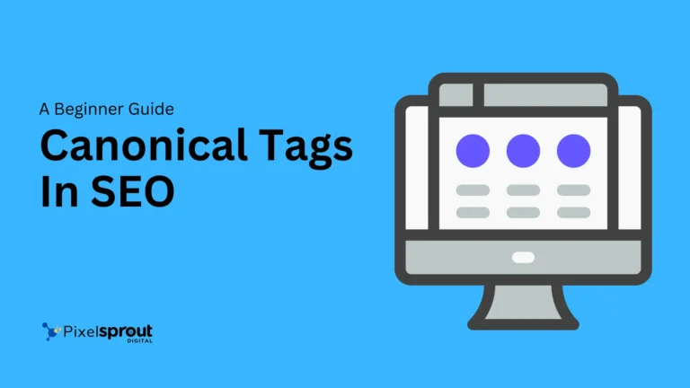 What is Canonical tags In SEO? A Beginner Guide