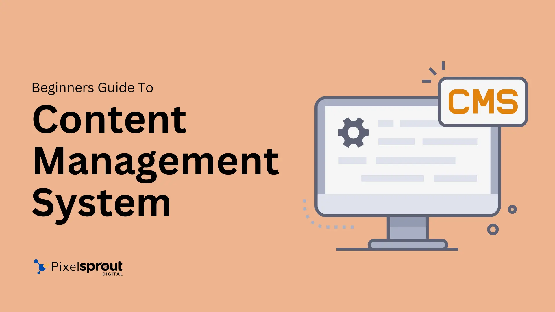 What is CMS? A Beginners Guide